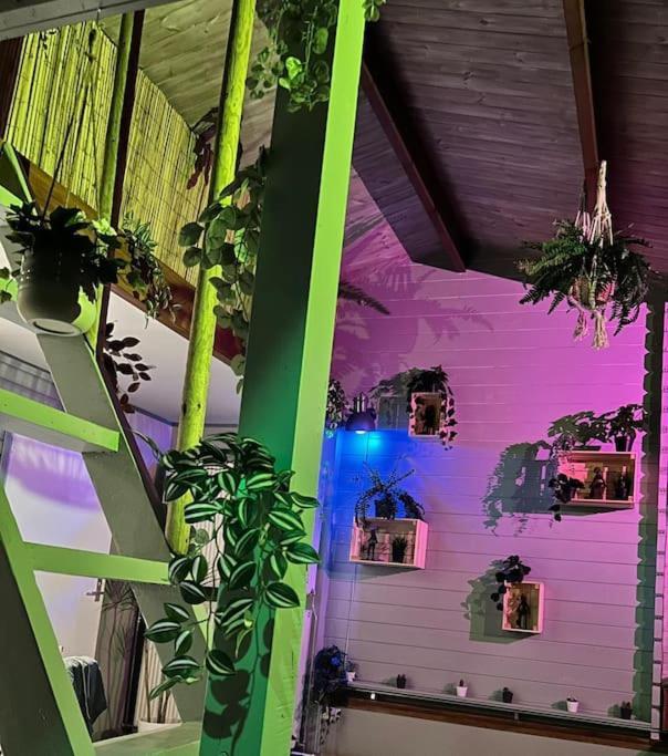 Jungle Style Lodge With Jacuzzi ,Sauna And Garden Near Amsterdam Vijfhuizen 外观 照片